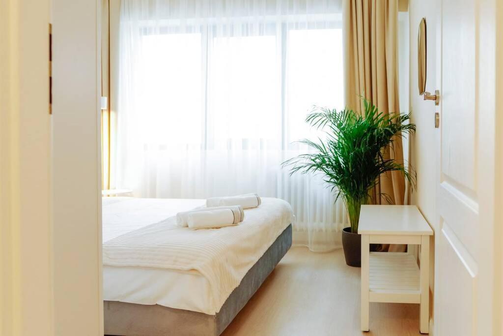 Elegant Vibes Apartment Next To Obor Market Bukareszt Zewnętrze zdjęcie