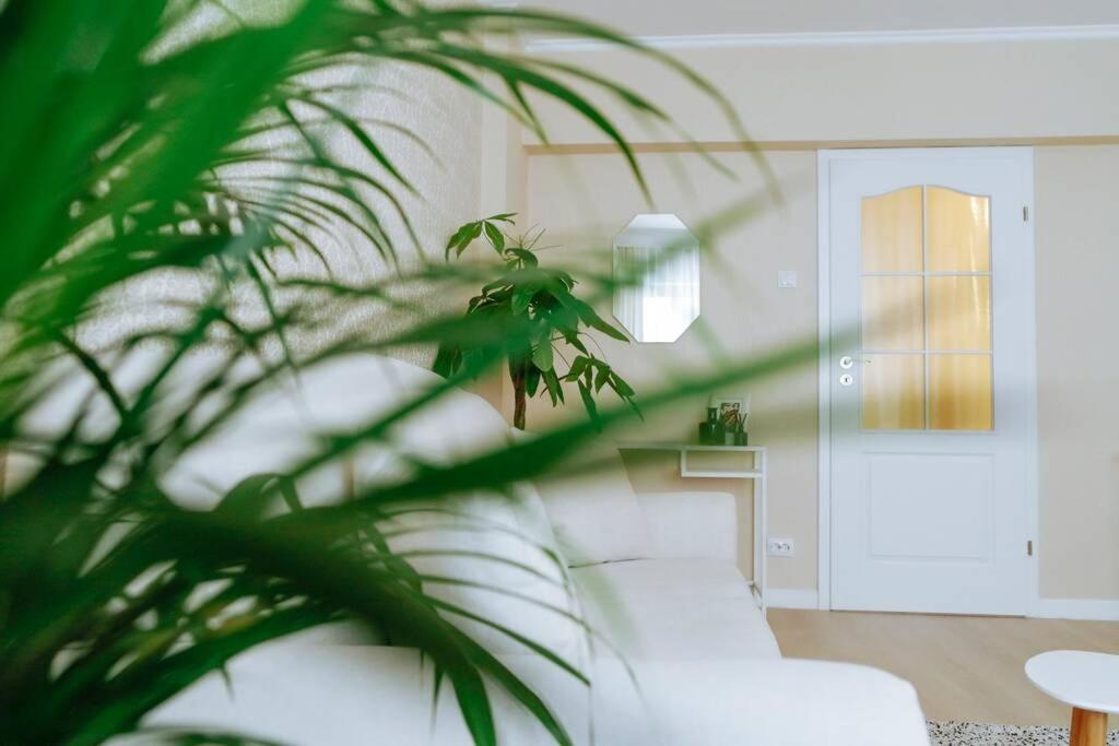 Elegant Vibes Apartment Next To Obor Market Bukareszt Zewnętrze zdjęcie